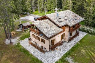 WILDHOMES Wild Wolf Lodge - Courmayeur - 8