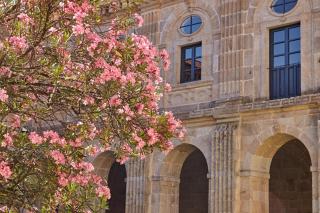 Eurostars Monumento Monasterio de San Clodio Hotel - 7