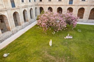 Eurostars Monumento Monasterio de San Clodio Hotel - Leiro - 4