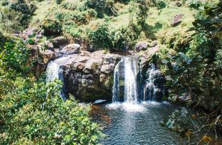 Mai Kilimanjaro Home Stay - Marangu - 0