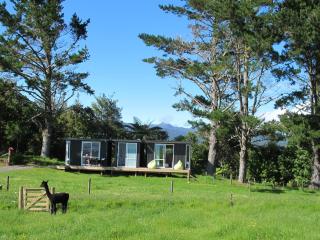 Waihi Gold Alpacas 3 or 4 people - Waihi - 9