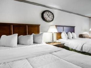 Ramada by Wyndham Birmingham Airport - Birmingham - 6