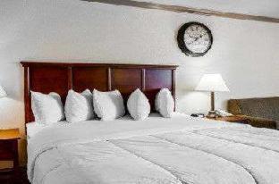 Ramada by Wyndham Birmingham Airport - Birmingham - 5