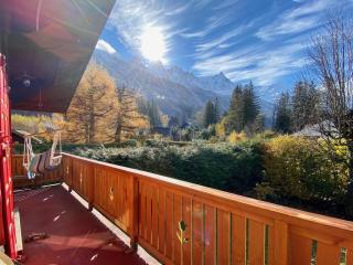 Chalet Baraka Vue MontBlanc - Chamonix-Mont-Blanc - 1