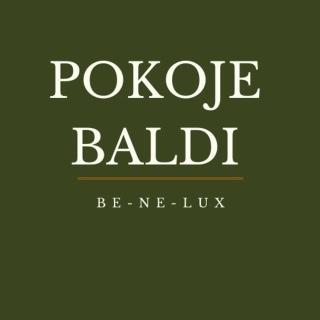 Pokoje BALDI Benelux - Skoczów - 1