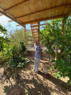 Las Palmas - Eilat - 6