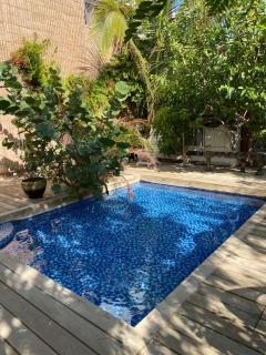 Las Palmas - Eilat - 8