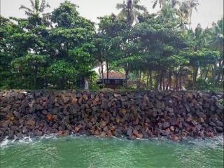 Sea Hut Homestay - Cochin - 9