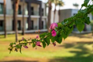 Hillstone Bodrum Hotel & Spa - Bodrum - 3