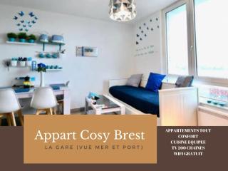 Appart Cosy Brest (La gare) vue mer - 5