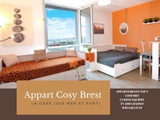 Appart Cosy Brest (La gare) vue mer - Brest - 1