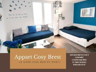 Appart Cosy Brest (La gare) vue mer - Brest - 2