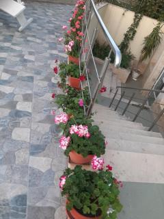 Family Hotel Coral - Sosopol - 4