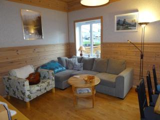 Fjordshelter- Cozy townhouse - Tyssedal - 9