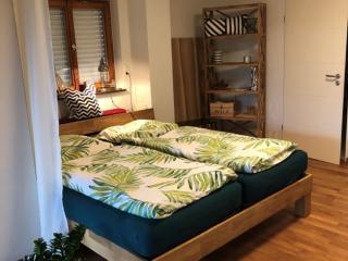 Dreiländereck, schöne Ferienwohnung mit großem Freisitz - Rheinfelden - 2