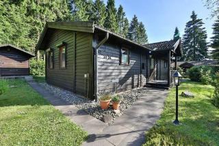 Waldsee-Ferienhaus-mit-Kamin-W-Lan - Clausthal-Zellerfeld - 0