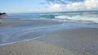 Casey Key Resort - Gulf Shores - Venice - 8