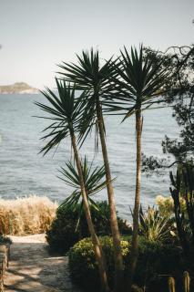 Hotel Provençal - Hyères - 7