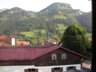 Allgaeublick-App23-Gaestehaus-in-Bad-Hindelang - Bad Hindelang - 8