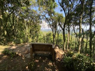 Refúgio da natureza - São Francisco de Paula - 4