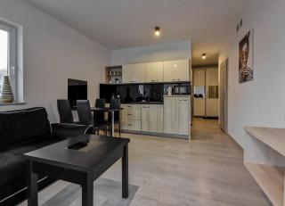 Apartament Kopydło - 8