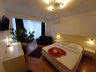 Pensiunea Riunione - Brasov - 0