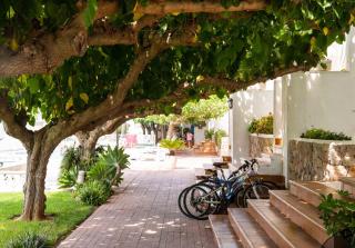 Apartamentos Els Romers Benicarló-Peñíscola - Peñíscola - 5
