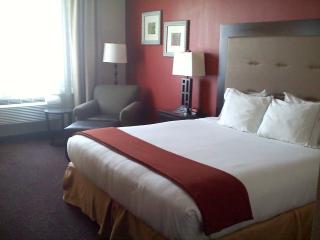 Holiday Inn Express Harvey-Marrero by IHG - Harvey - 4