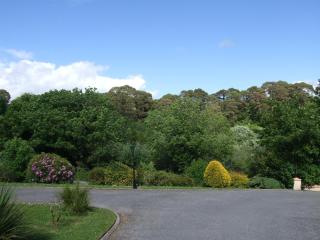 O'Sheas Ceol Na Habhann B&B - 6