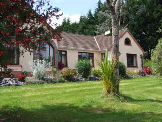 O'Sheas Ceol Na Habhann B&B - Kenmare - 0