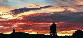 Redhill Cooma Motor Inn - Cooma - 5