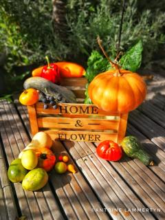 La Maison ZiaZen - 1