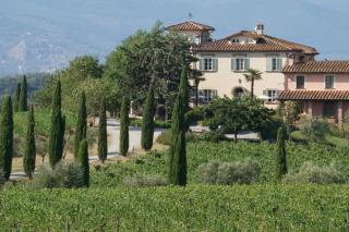 Poggio al Casone - 7