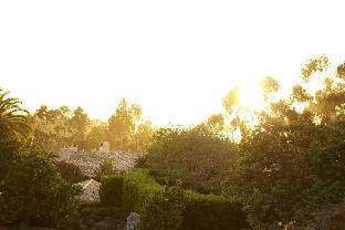 Rancho Valencia Resort and Spa - 5