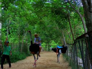 Hoang Son Hotel - Nha Trang - 6
