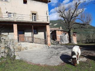 Casa Rural Mas Pujol - 6