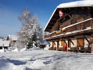 Appartements mitoyens aux SAISIES 14 PERSONNES - Hauteluce - 1