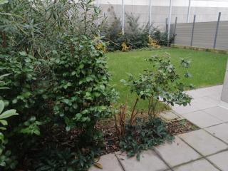 C.A.V. B&B Curiel20 - San Donato Milanese - 2