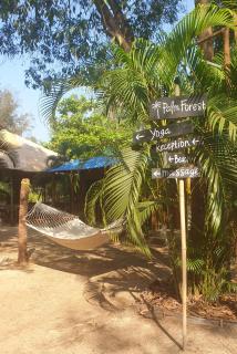 Palm Forest Palolem - 0