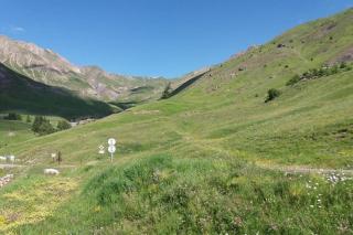Superbe appartement la Foux d'Allos - La Foux - 2
