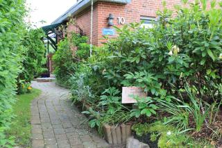 Googeswill-Wohnung-1 - Tinnum - 1