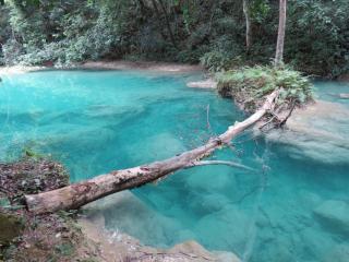 Bel-Há Ecoparque - El Naranjo - 8