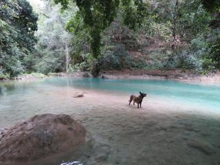 Bel-Há Ecoparque - El Naranjo - 4