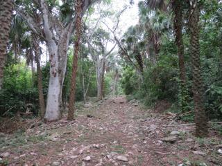 Bel-Há Ecoparque - El Naranjo - 2