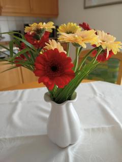 Haus Seerobbe-Erdgeschosswohnung - 3