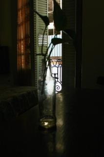 Hotel Bahia - 7