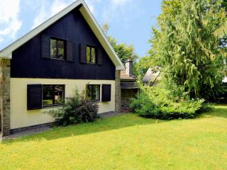 Inviting chalet in the woods in Ovifat - Waimes - 0