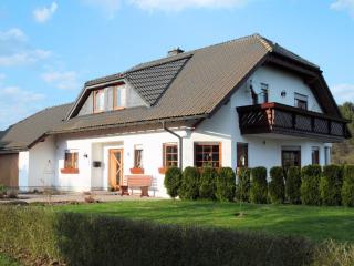 Holiday flat in the Sauerland with terrace - Medebach - 0