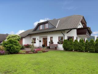 Holiday flat in the Sauerland with terrace - Medebach - 0