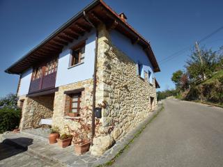 Pruneda mansion with swimming pool - Nava - 0